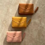 کیف‌پول و جاکارتی دالبری